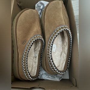 Tasman uggs